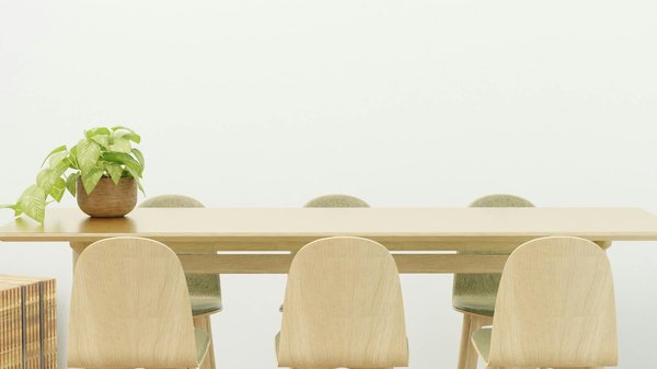 Adoptez une Utilisation Écologique et Responsable de Votre Lave-Vaisselle