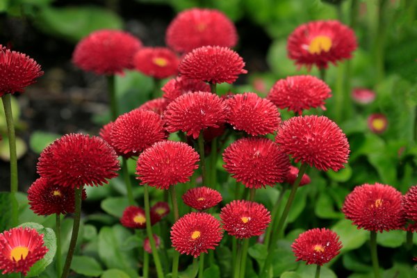 Découvrez les Astuces pour Dénicher des Matériaux de Déménagement Pas Chers !